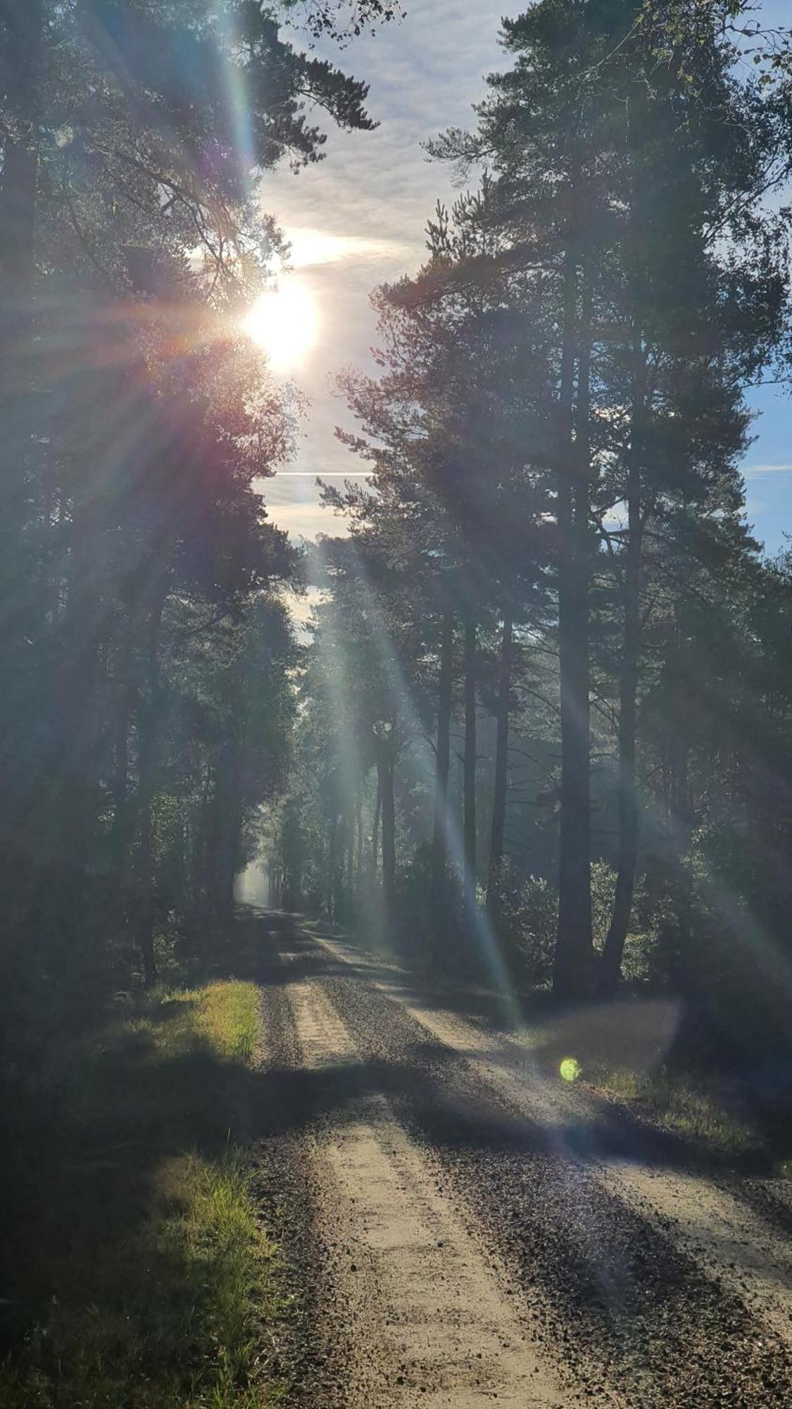 Soedra Ljunga Vandrarhem Ljungby  Buitenkant foto